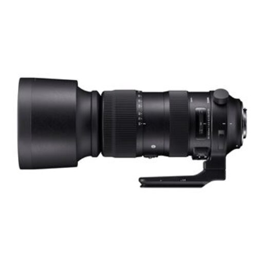 Objectif Reflex Sigma 60-600mm f/4,5-6,3 DG OS HSM Sport pour Canon EF